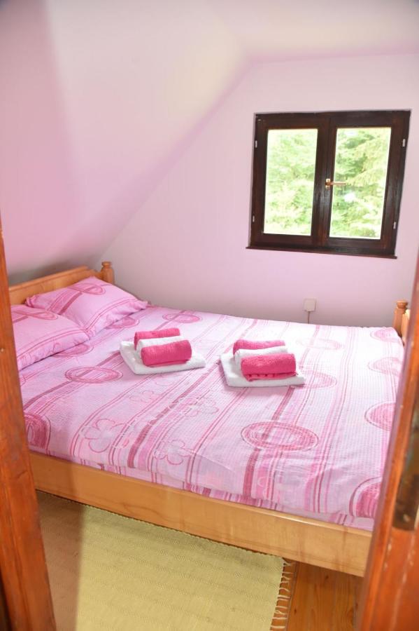 Vikendica Na Sokolini Villa Gornja Koprivna Екстериор снимка